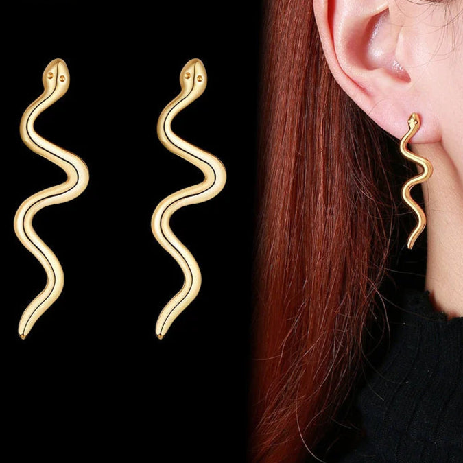 Snake Shaped Earrings and Bracelet