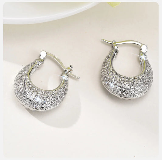 Sparkling Zirconic Stone Studded Hoop Earrings