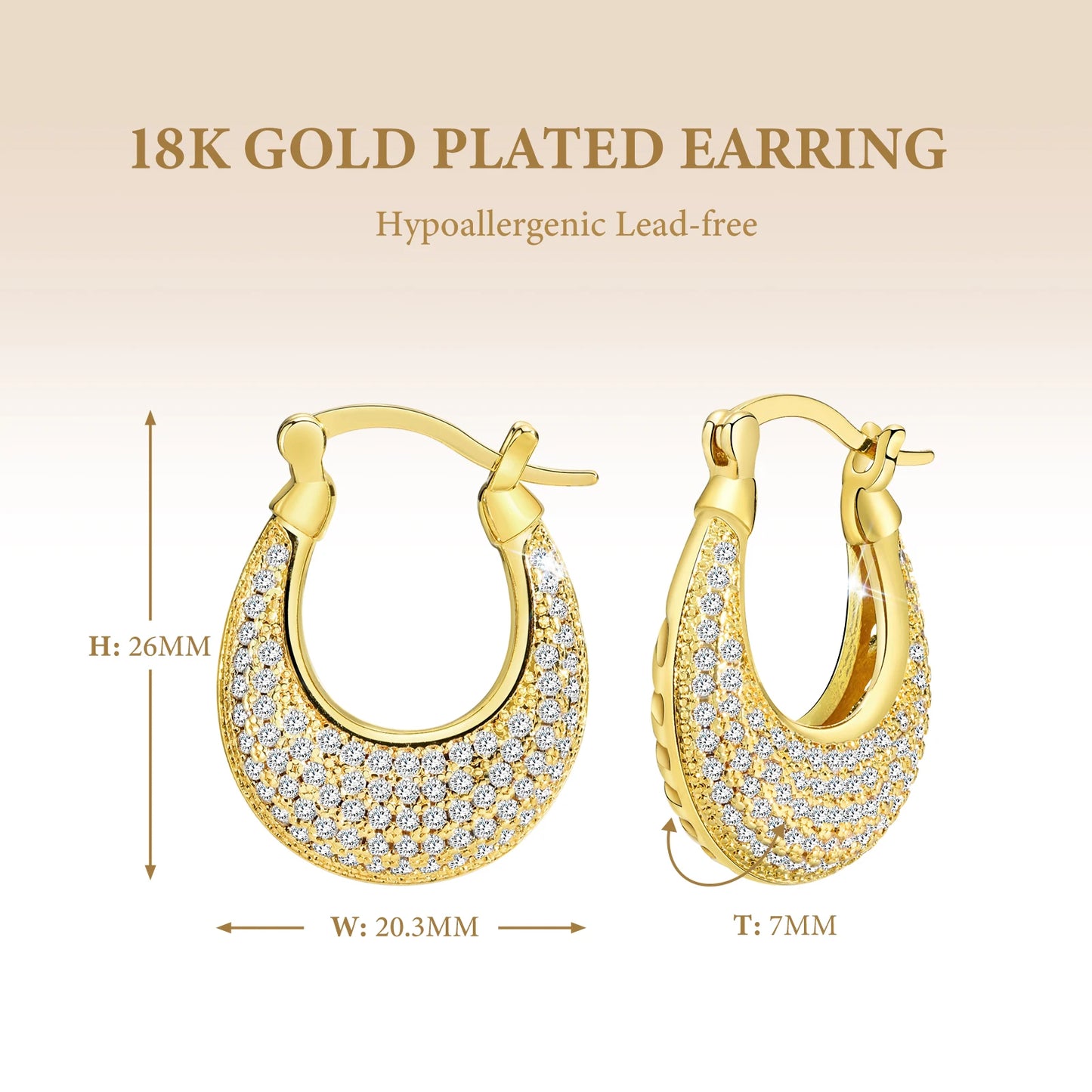 Sparkling Zirconic Stone Studded Hoop Earrings