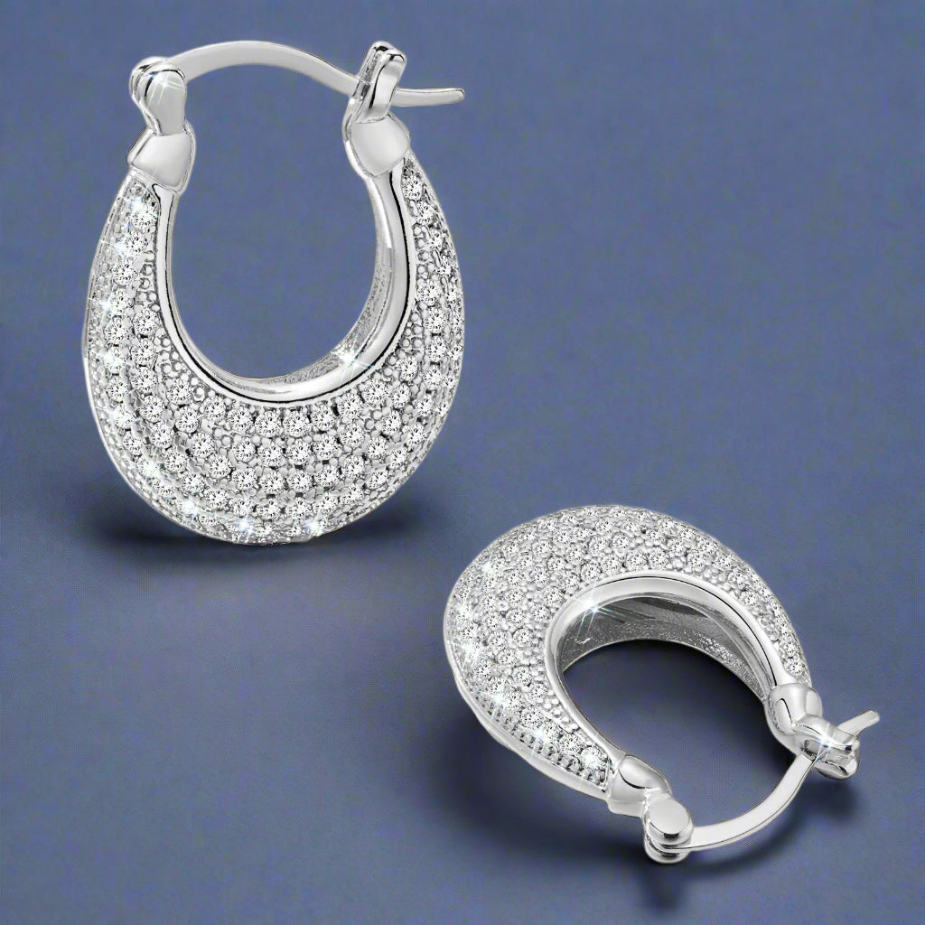 Sparkling Zirconic Stone Studded Hoop Earrings