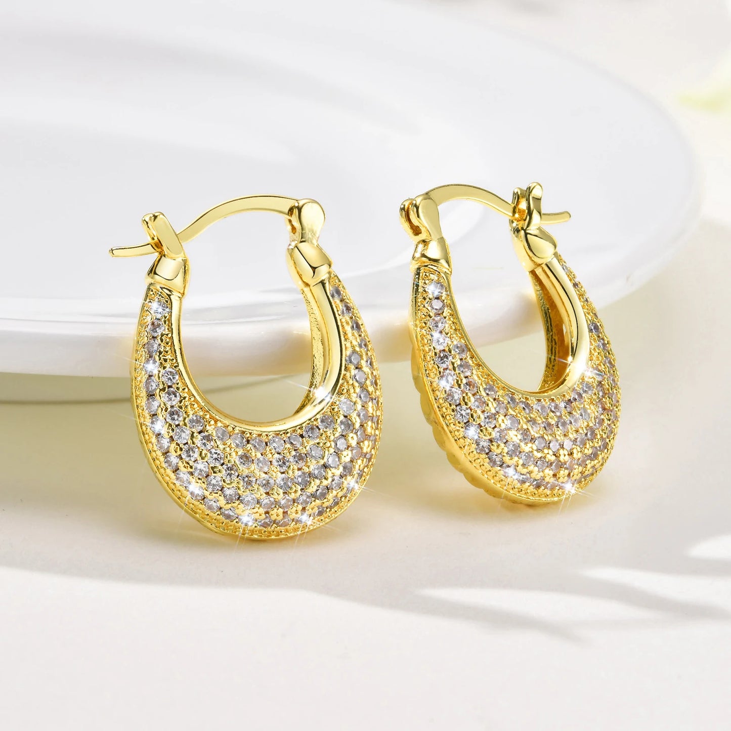 Sparkling Zirconic Stone Studded Hoop Earrings